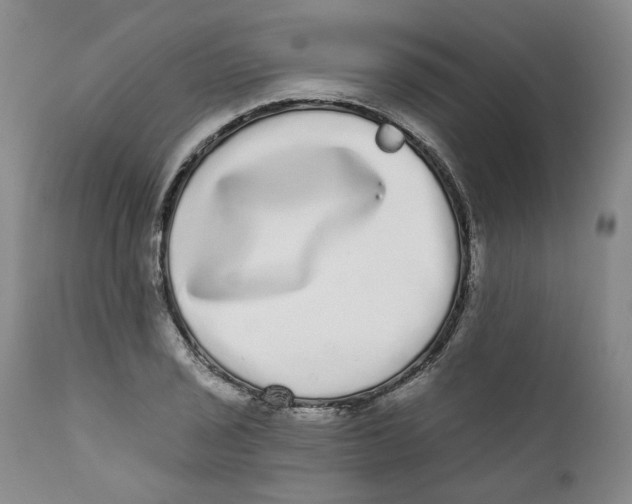 X0000112361029200909101251