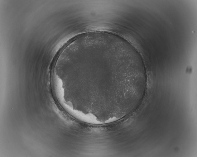 X0000112361031200909101251