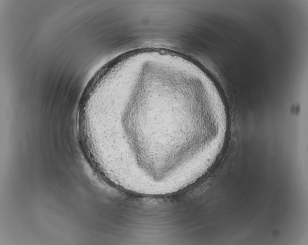 X0000112361032200909101251