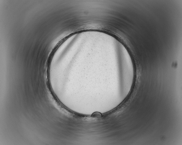 X0000112361034200909101251