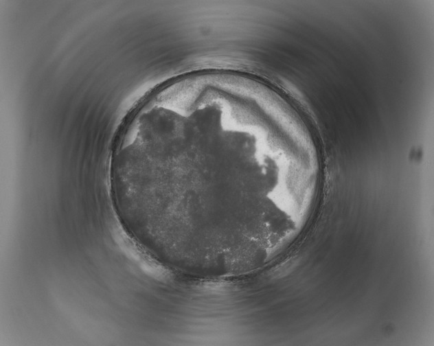 X0000112361035200909101251