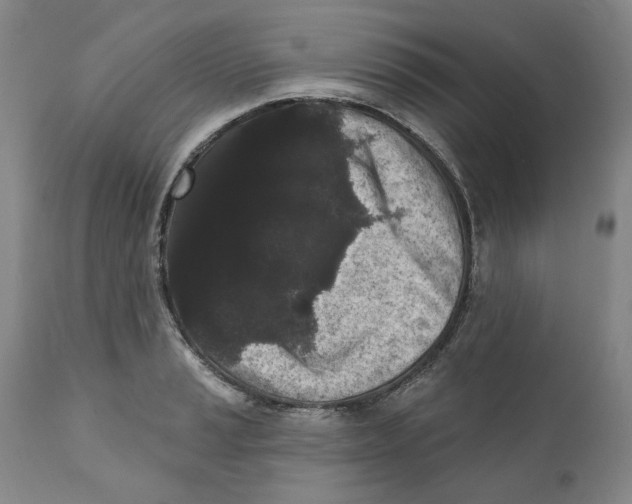 X0000112361037200909101251