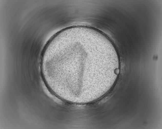 X0000112361038200909101251