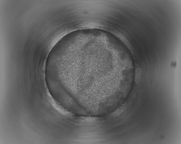 X0000112361039200909101251