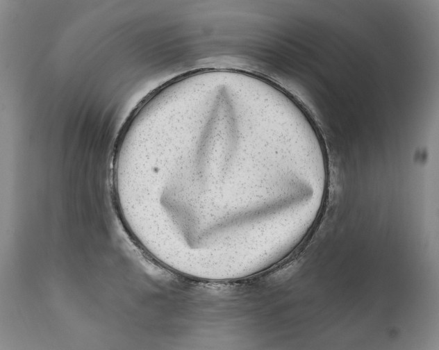X0000112361040200909101251