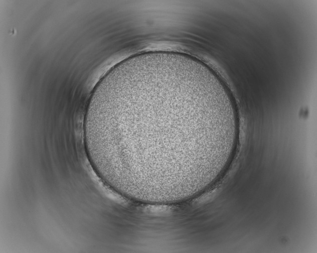 X0000112361041200909101251