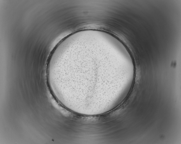 X0000112361042200909101251