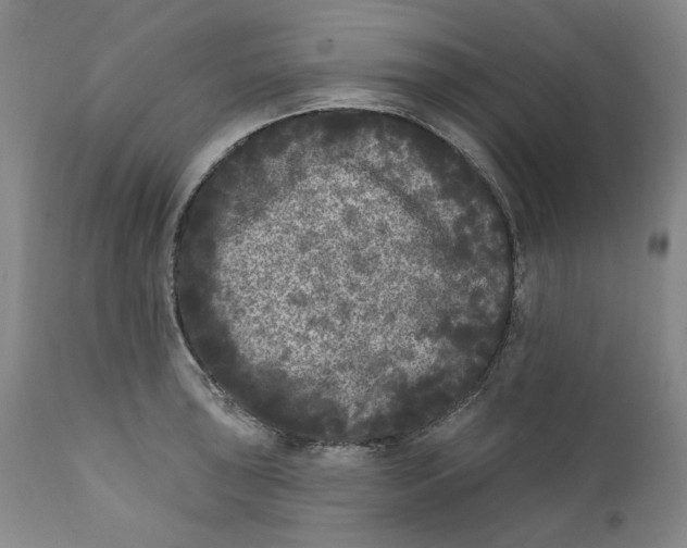 X0000112361043200909101251