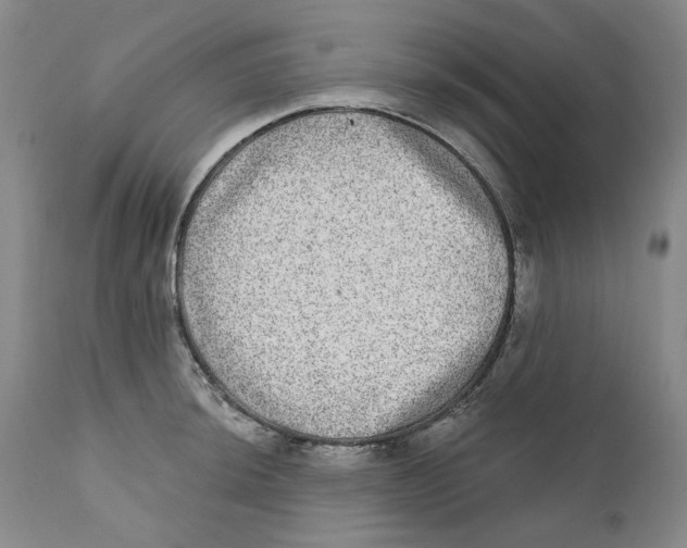 X0000112361044200909101251