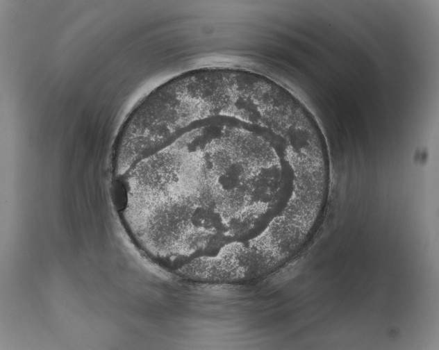 X0000112361045200909101251