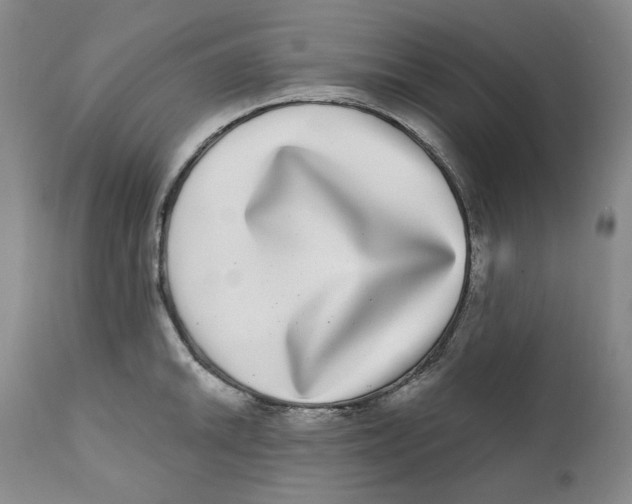 X0000112361046200909101251