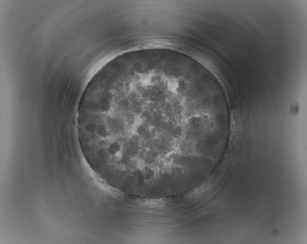 X0000112361047200909101251