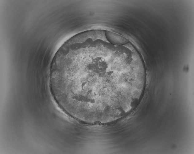 X0000112361048200909101251