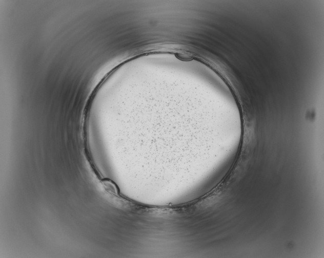 X0000112361050200909101251