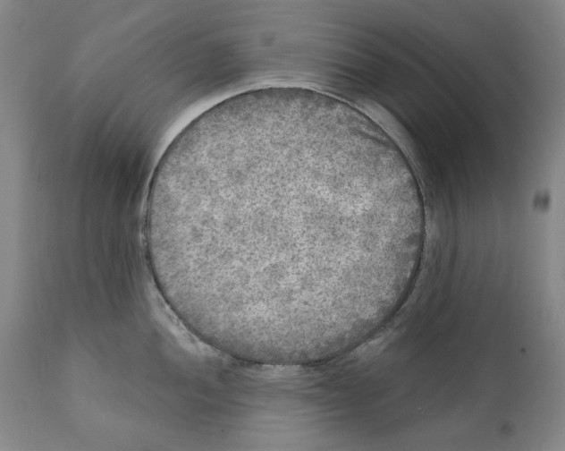 X0000112361052200909101251