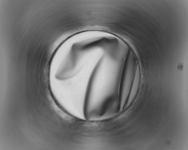 X0000112361054200909101251