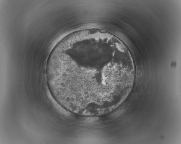 X0000112361055200909101252