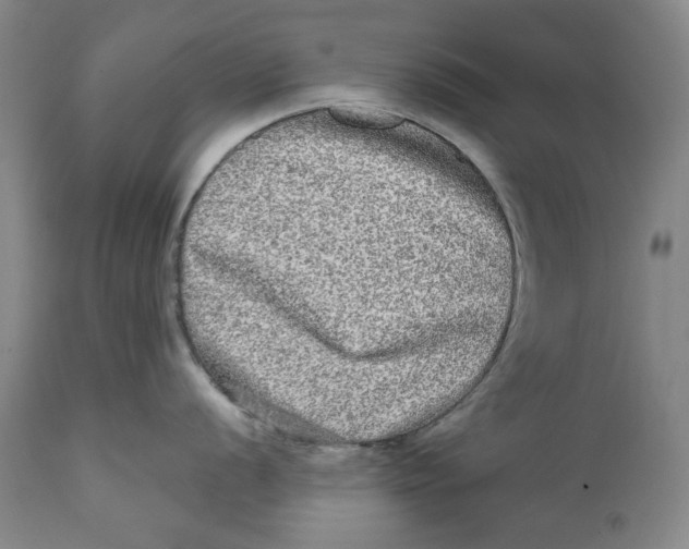 X0000112361056200909101252