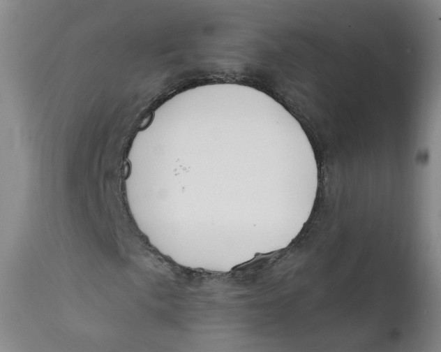 X0000112361057200909101251