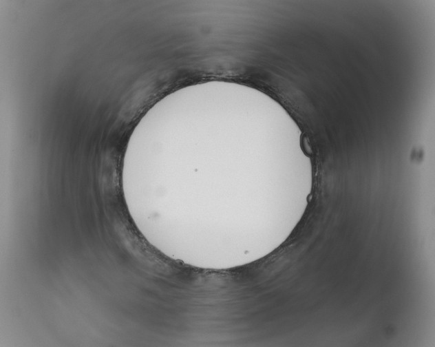 X0000112361058200909101251