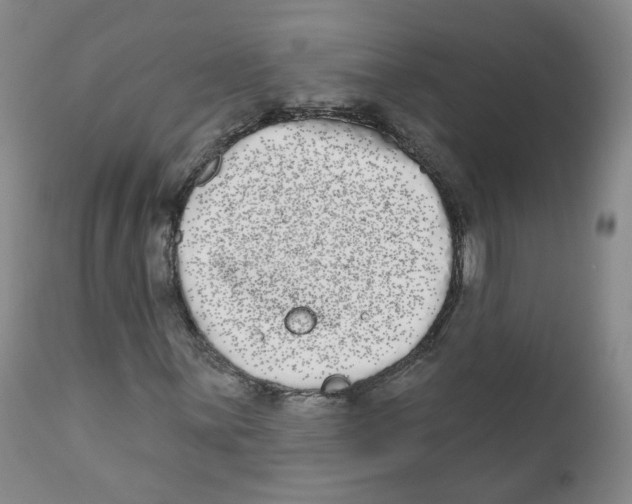 X0000112361059200909101250