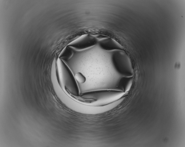 X0000112361060200909101250