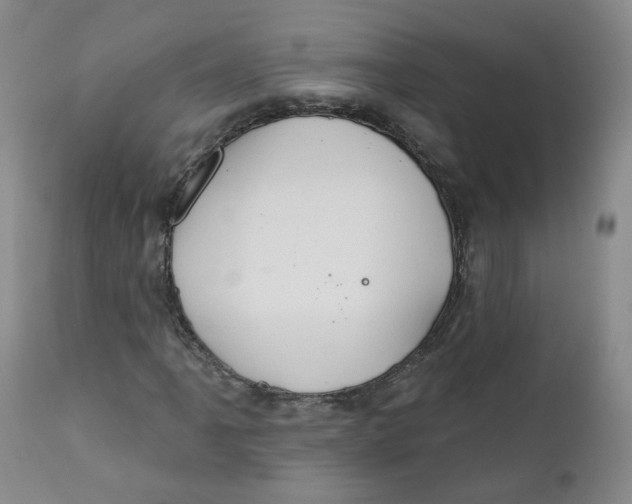 X0000112361061200909101250