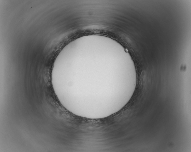 X0000112361062200909101250