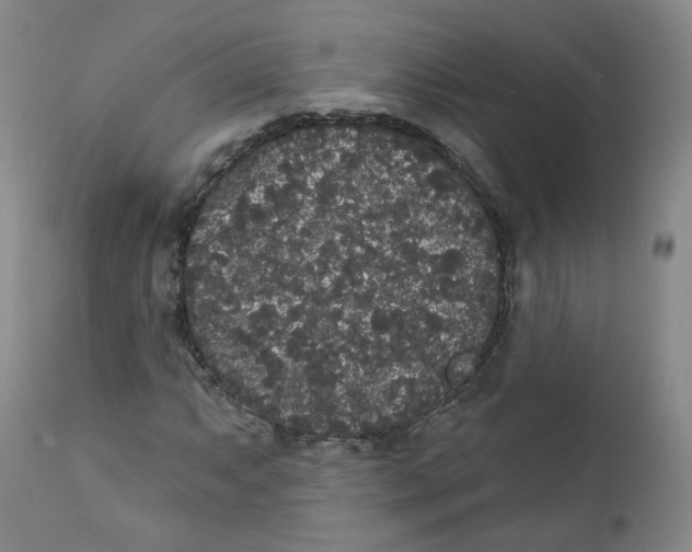 X0000112361063200909101250