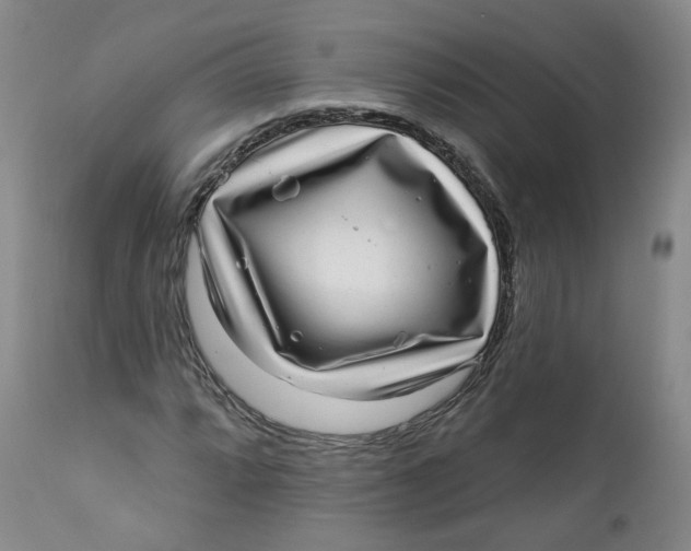 X0000112361064200909101250