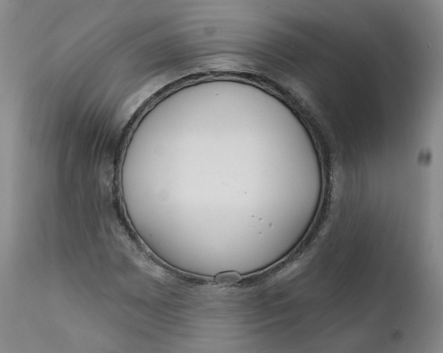 X0000112361065200909101250