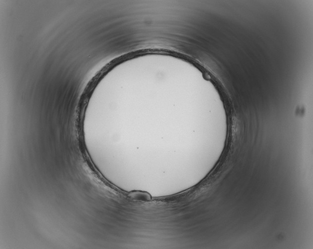 X0000112361068200909101250