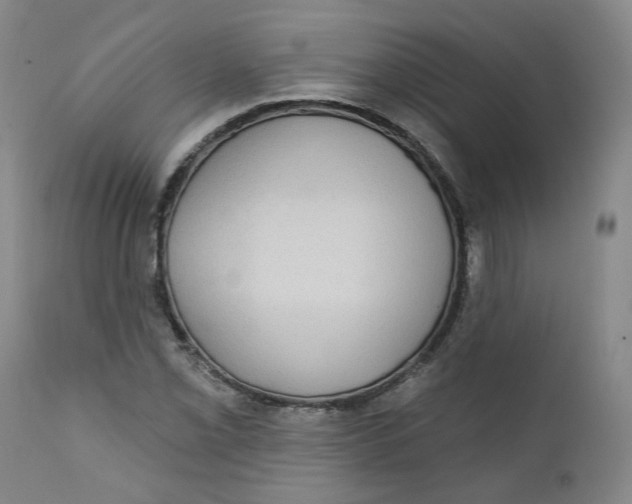 X0000112361069200909101250