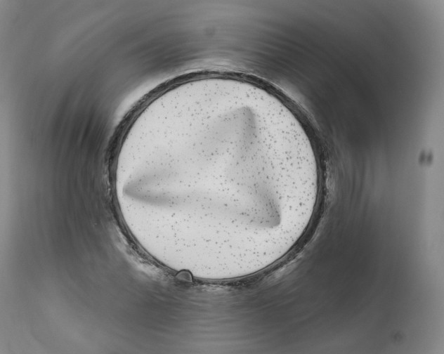 X0000112361070200909101250