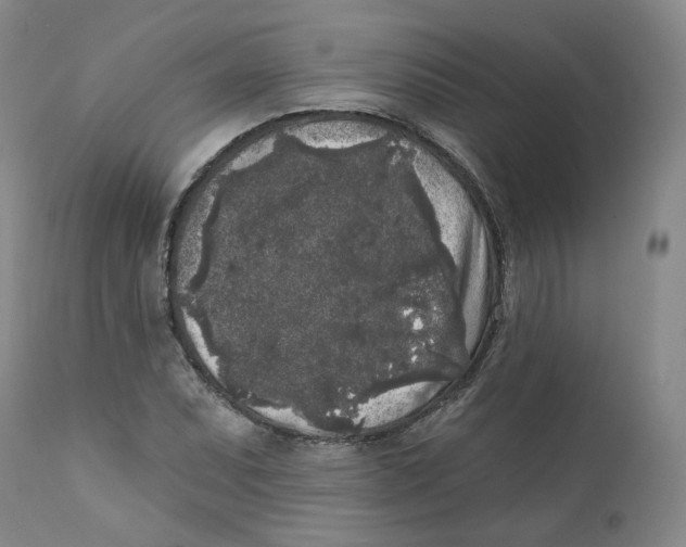 X0000112361071200909101250