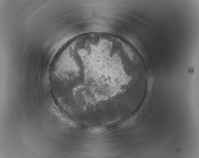X0000112361074200909101250