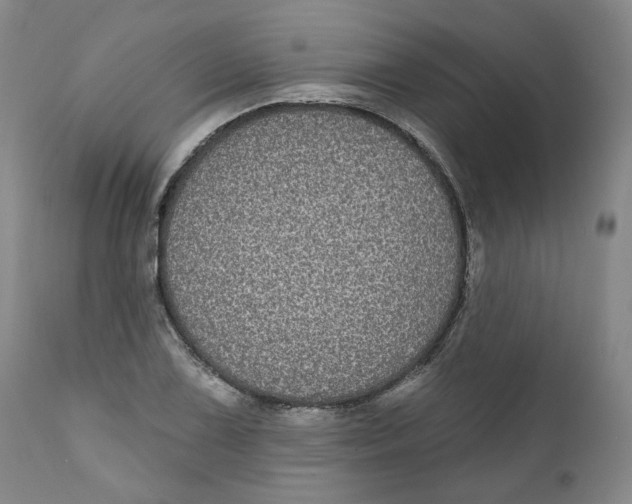 X0000112361075200909101250