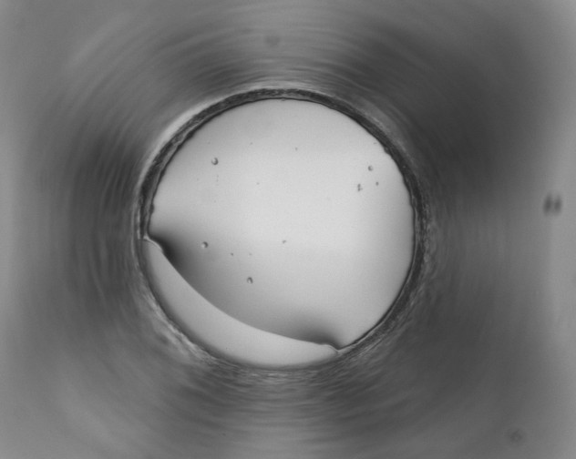 X0000112361076200909101250