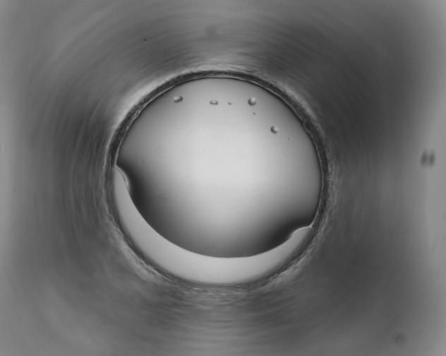 X0000112361077200909101250
