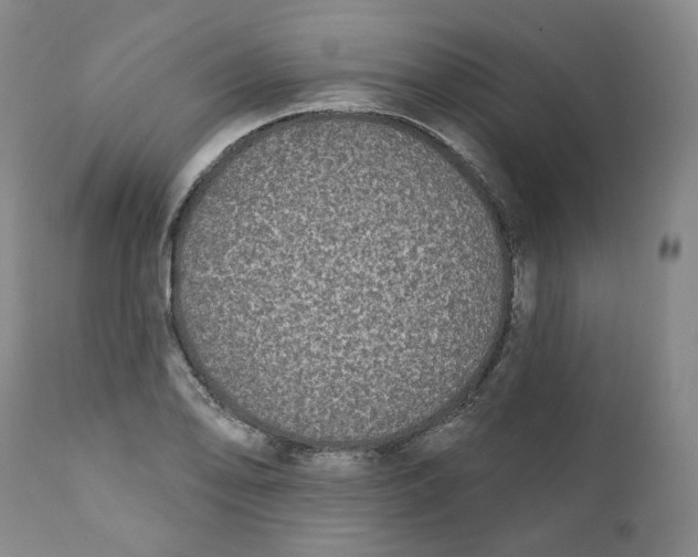 X0000112361078200909101250