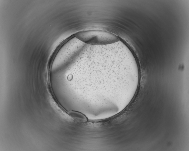 X0000112361080200909101250