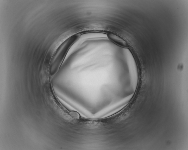 X0000112361081200909101250