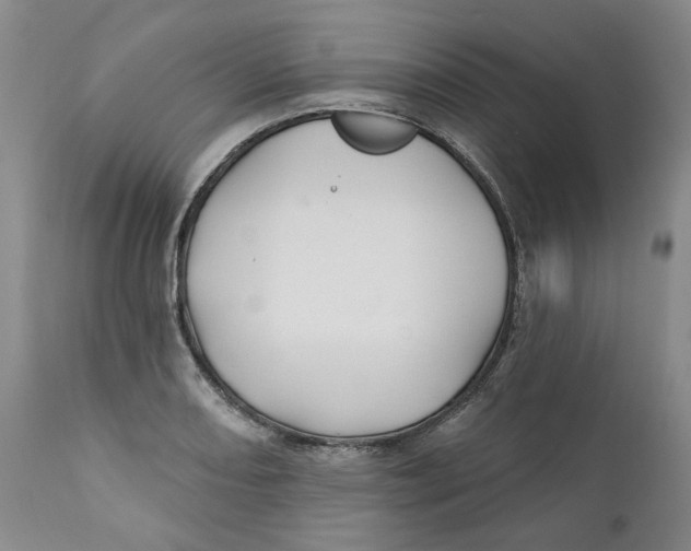 X0000112361082200909101250