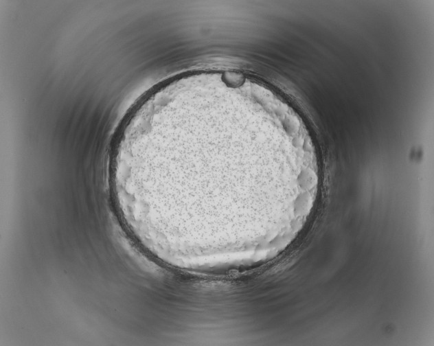 X0000112361083200909101250
