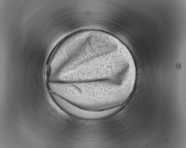 X0000112361084200909101250