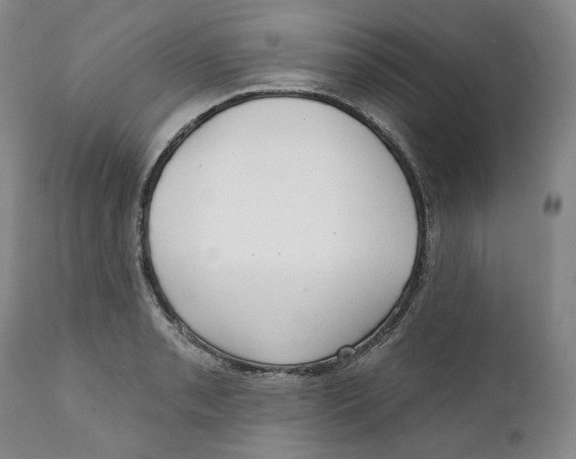X0000112361085200909101250