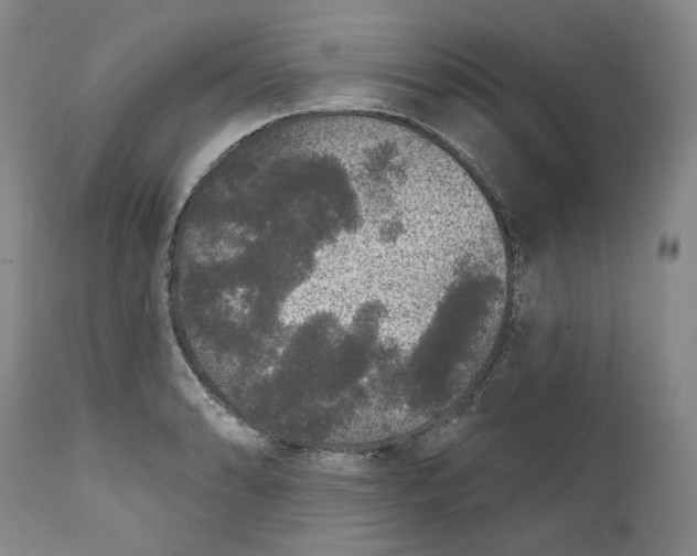 X0000112361086200909101250