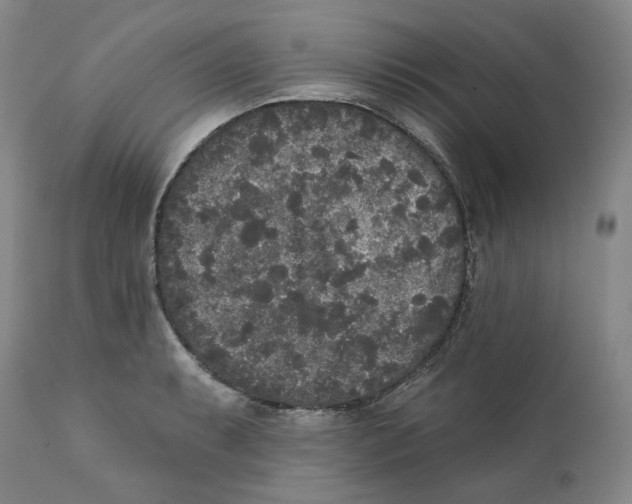 X0000112361087200909101250