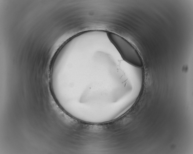 X0000112361088200909101250