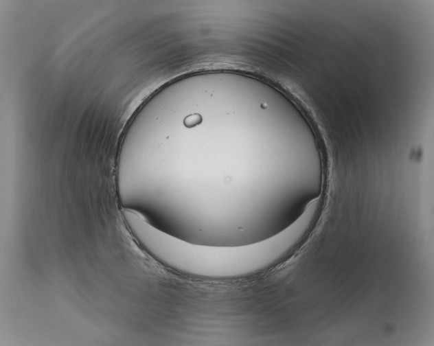 X0000112361089200909101250